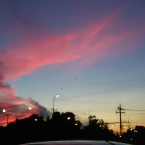 สมาชิกหมายเลข 6131226