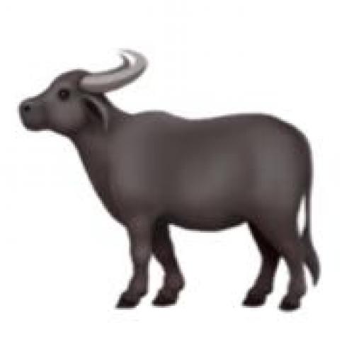 สมาชิกหมายเลข 6275539