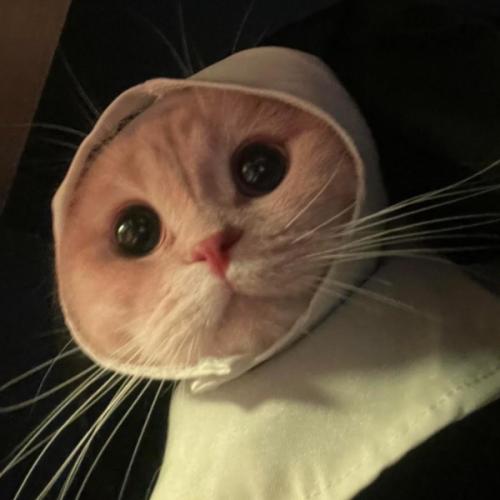 สมาชิกหมายเลข 1642965