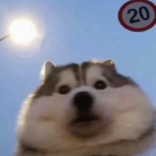 สมาชิกหมายเลข 4855782