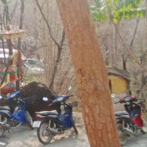 สมาชิกหมายเลข 7519824