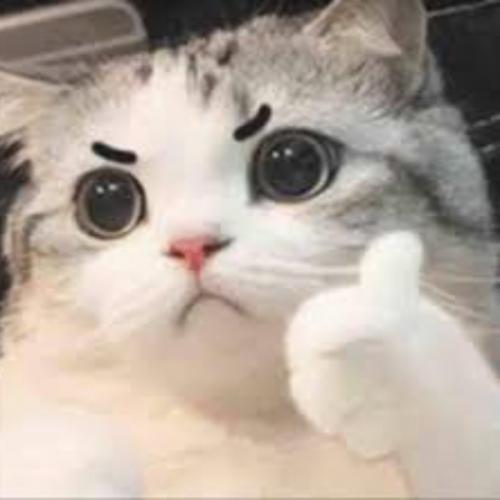 สมาชิกหมายเลข 7521451