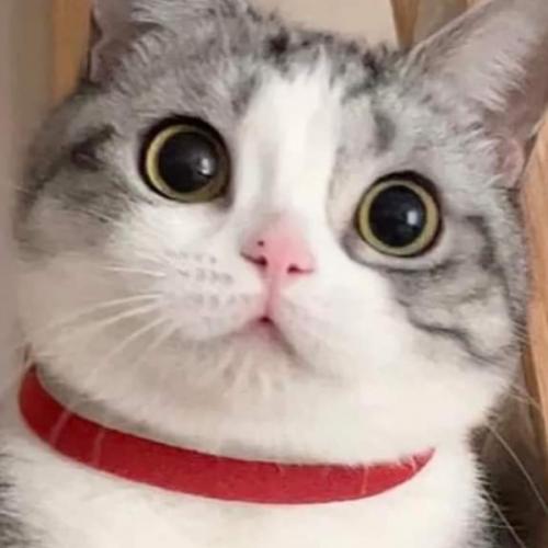 สมาชิกหมายเลข 7524192