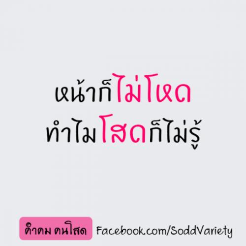 สมาชิกหมายเลข 4557626