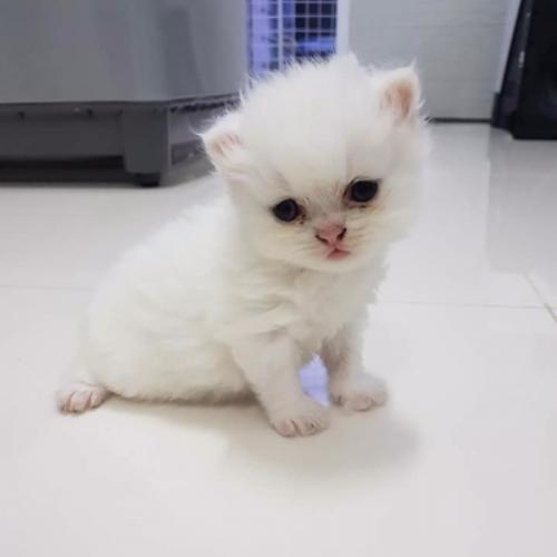 สมาชิกหมายเลข 5167658