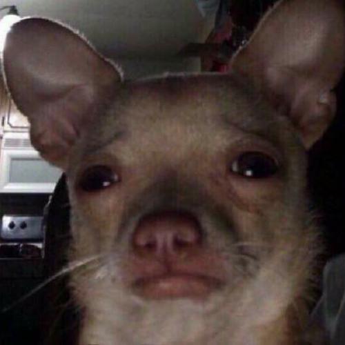 สมาชิกหมายเลข 6130481