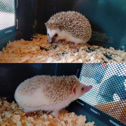 สมาชิกหมายเลข 6131546