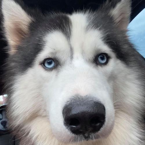 สมาชิกหมายเลข 6131558