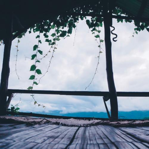 สมาชิกหมายเลข 6131827