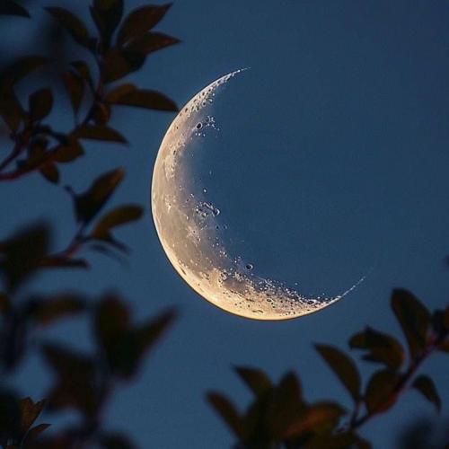 สมาชิกหมายเลข 6355192