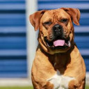 สมาชิกหมายเลข 4448046