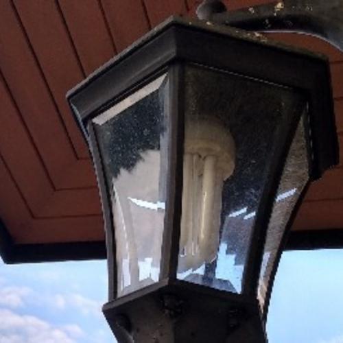 สมาชิกหมายเลข 4087261