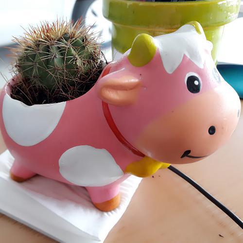 สมาชิกหมายเลข 4789541