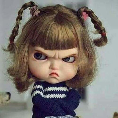 สมาชิกหมายเลข 5073411