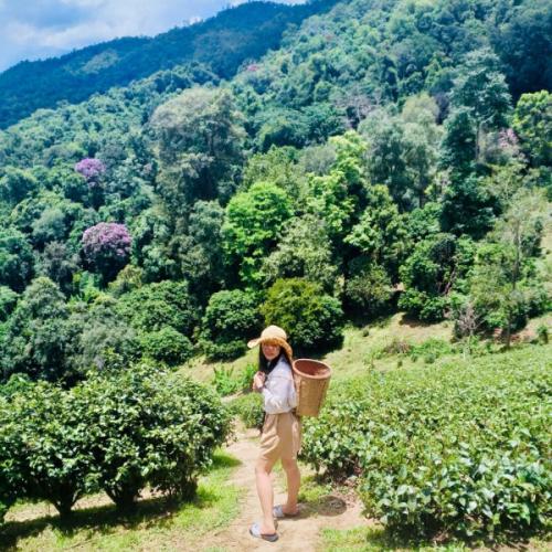 สมาชิกหมายเลข 1647601