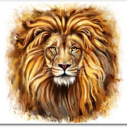 สมาชิกหมายเลข 3563712