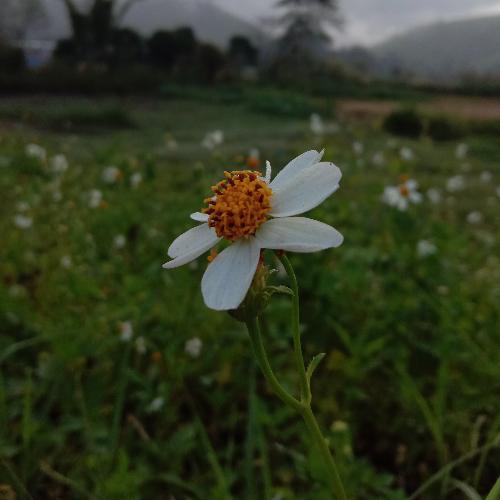 สมาชิกหมายเลข 5572706