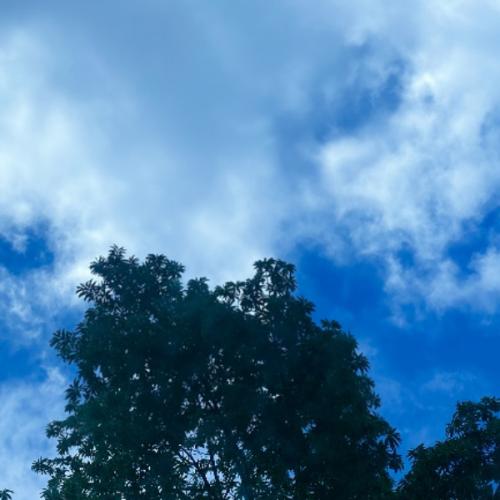 สมาชิกหมายเลข 1951922