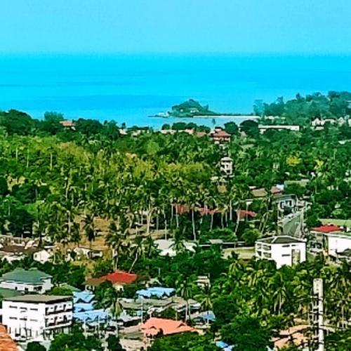 สมาชิกหมายเลข 6132581