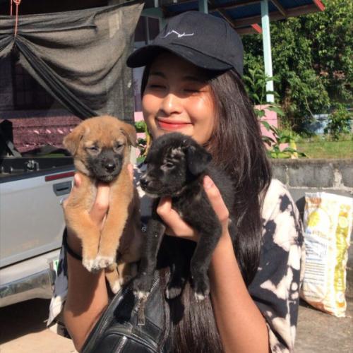 สมาชิกหมายเลข 4828363