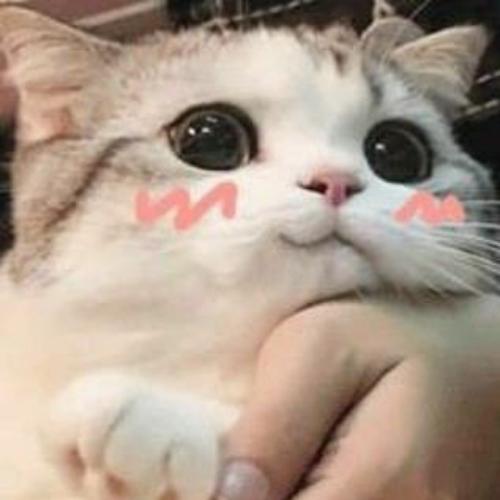 สมาชิกหมายเลข 5204116