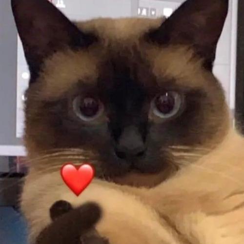 สมาชิกหมายเลข 7525632