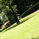 สมาชิกหมายเลข 2357834