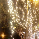 สมาชิกหมายเลข 3278278