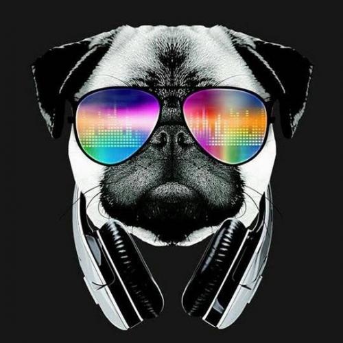 สมาชิกหมายเลข 4789808