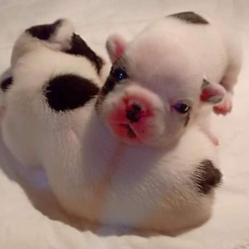 สมาชิกหมายเลข 5573223