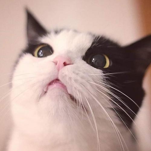 สมาชิกหมายเลข 5418493