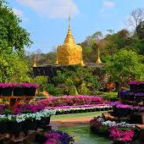 สมาชิกหมายเลข 6132867