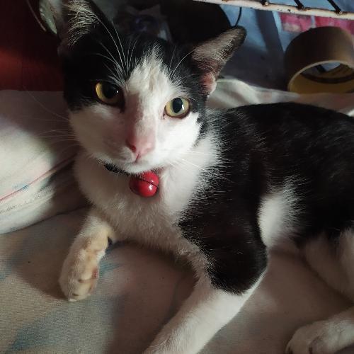 สมาชิกหมายเลข 6133030