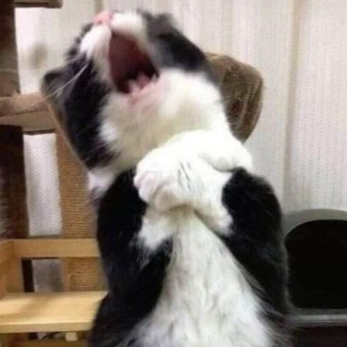 สมาชิกหมายเลข 5513800