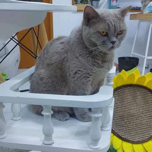 คุณแม่วัยทอง