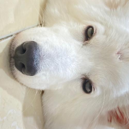 สมาชิกหมายเลข 6721211