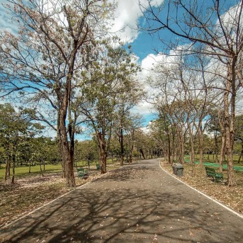 สมาชิกหมายเลข 2906915