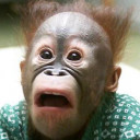 สมาชิกหมายเลข 4436016