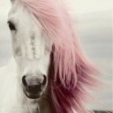 สมาชิกหมายเลข 5168130