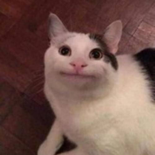 สมาชิกหมายเลข 5130948