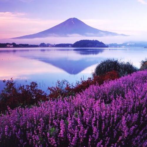 สมาชิกหมายเลข 5425096