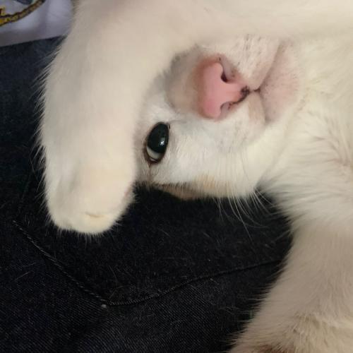 สมาชิกหมายเลข 6133452