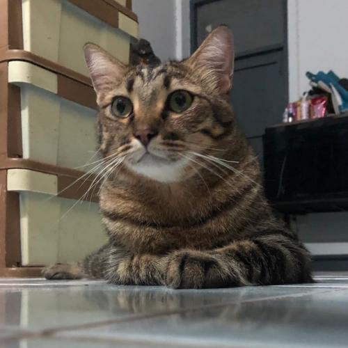 สมาชิกหมายเลข 1190185