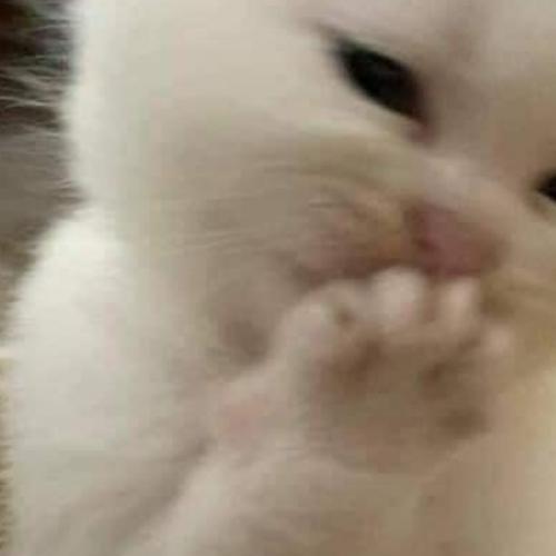 สมาชิกหมายเลข 3074267