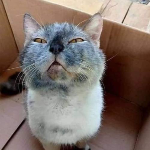 สมาชิกหมายเลข 6758998