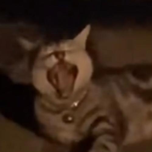 สมาชิกหมายเลข 4122634