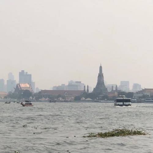 สมาชิกหมายเลข 7526805