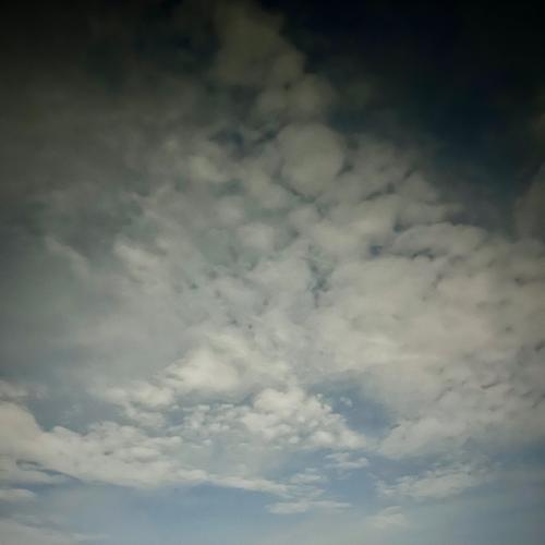 สมาชิกหมายเลข 8438111