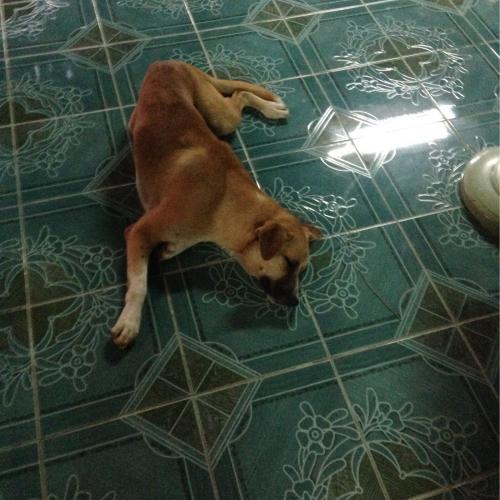 สมาชิกหมายเลข 3245805