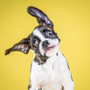 สมาชิกหมายเลข 2919629